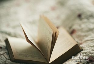 智能印花风向——量身自打造尖端图文共生体系